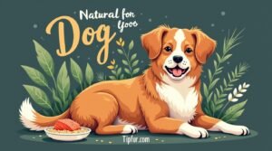 Holistic Pet Care: 10 Natural Remedies to Soothe Your Dog’s Allergies (Vet-Approved & Evidence-Based)